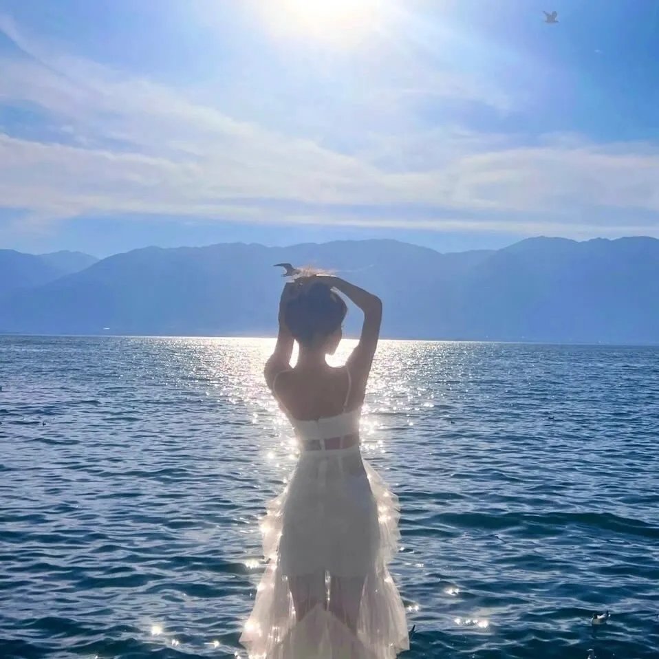 花仙子森林寻友记 海报