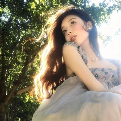 甄嬛传 海报